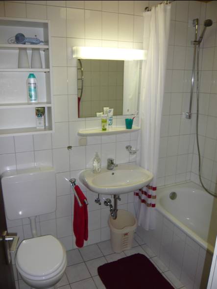 Badezimmer:ein Duschvorhang macht die Wanne zur Dusche, das Regal bietet großzügige Ablagefläche und ein Fön ist ebenfalls vorhanden